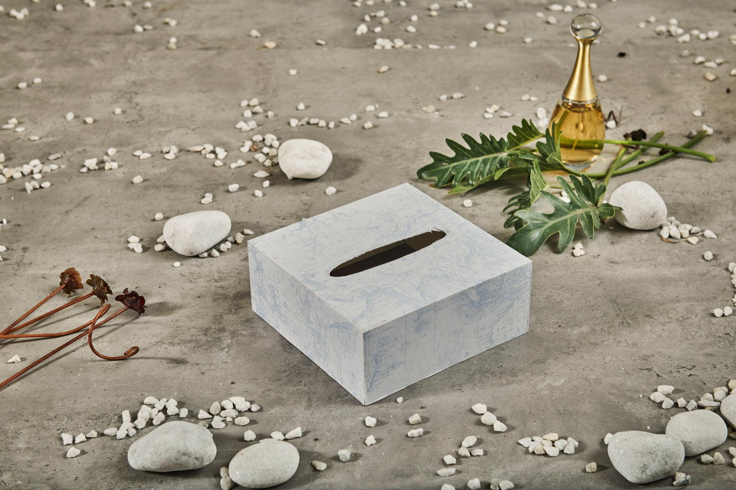 A Tiny Mistake Explorers Edition Square Tissue Box, 18 x 18 x 7.5 cm