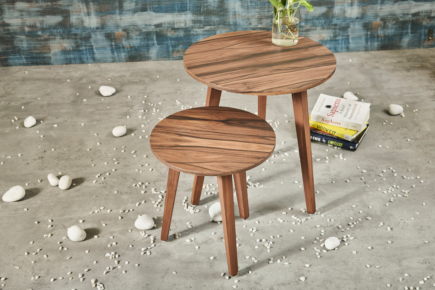 A Tiny Mistake Walnut Matt Finish Wooden Nesting Tables (Set of 2), Living Room Decor