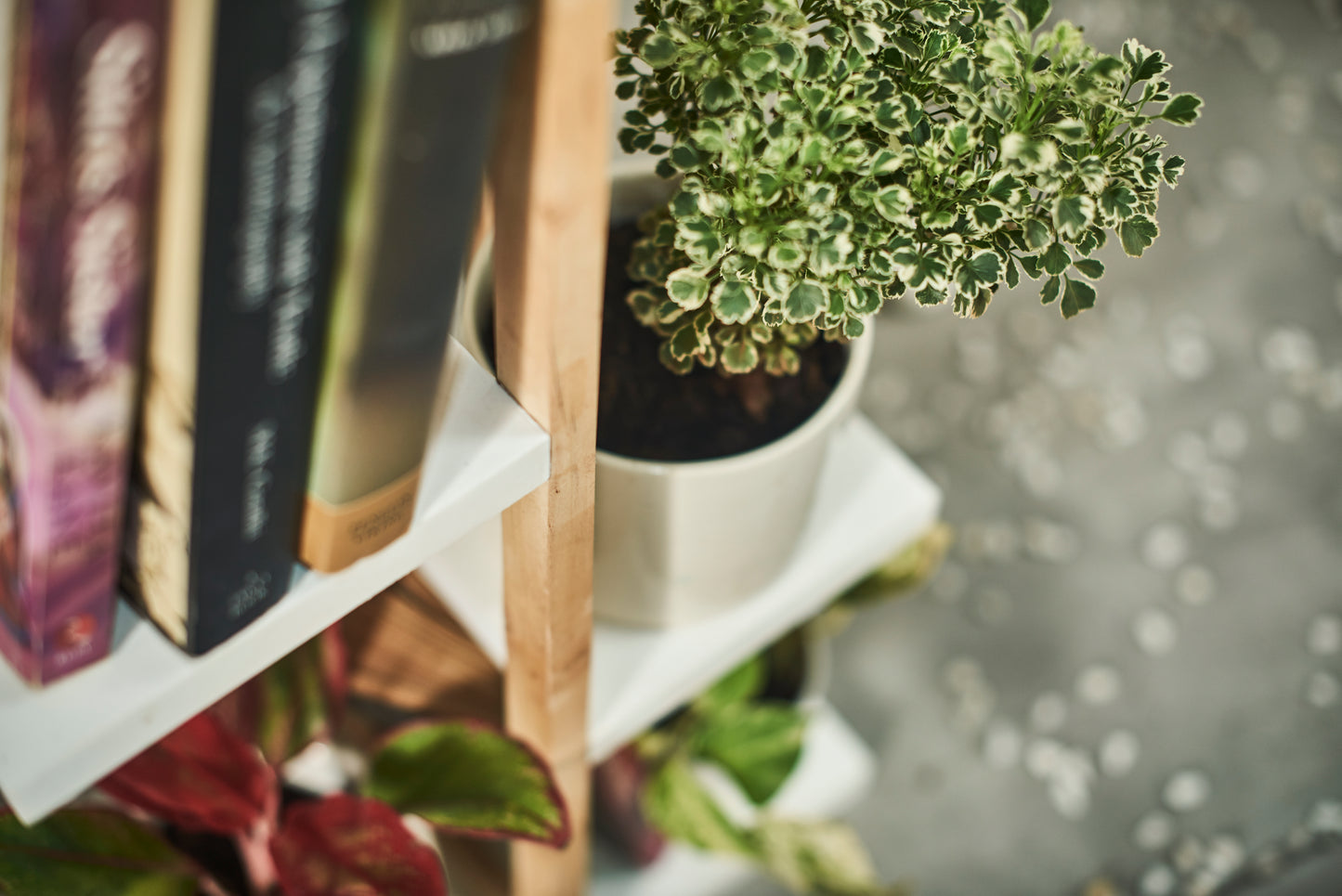 A Tiny MistakeAll Purpose Five Tier Stand (One Piece) (For Planters, Ornaments and Accessories) (Natural Pine Wood Stand with White Planks)