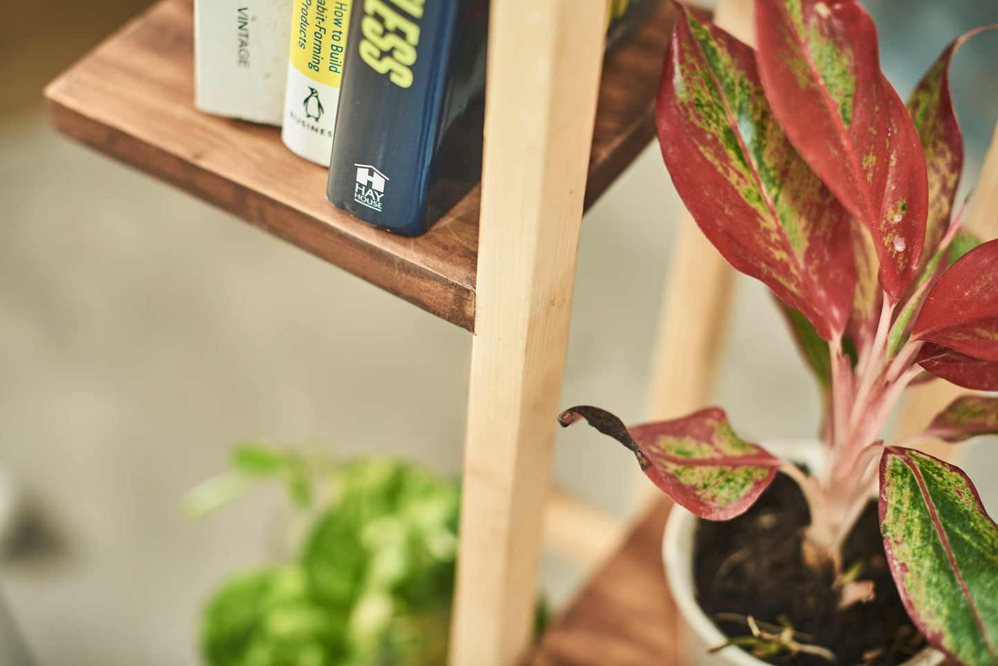 A Tiny Mistake All Purpose Three Tier Stand (One Piece) (For Planters, Ornaments and Accessories) (Natural Pine Wood Stand with Dark Planks)