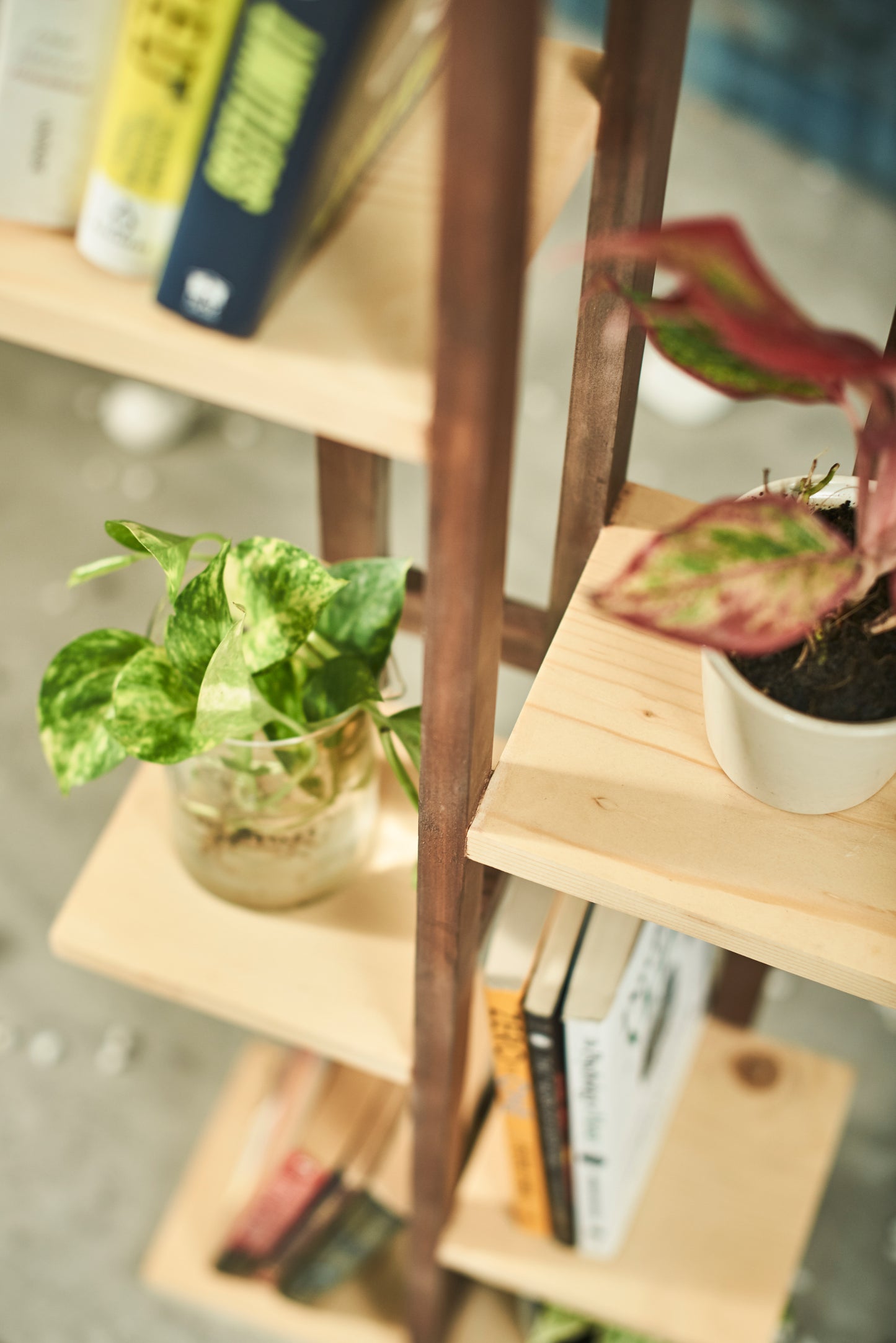 A Tiny Mistake All Purpose Five Tier Stand (One Piece) (For Planters, Ornaments and Accessories) (Dark Stand with Natural Pine Wood Planks)