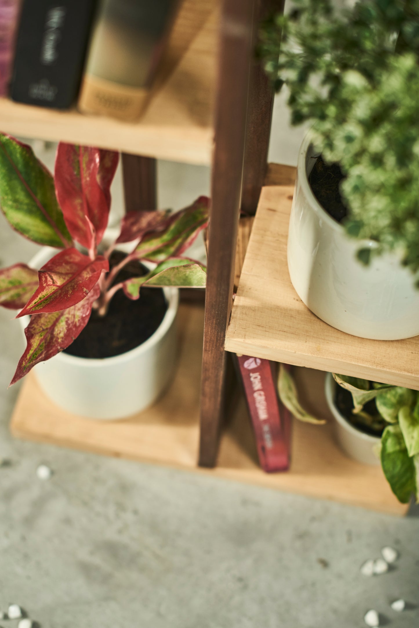 A Tiny Mistake All Purpose Five Tier Stand (One Piece) (For Planters, Ornaments and Accessories) (Dark Stand with Natural Pine Wood Planks)