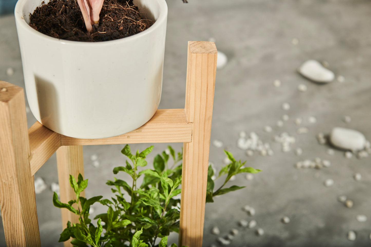A Tiny Mistake Three Legged Star Planter, Two Tier (One Piece) (Natural Finish)