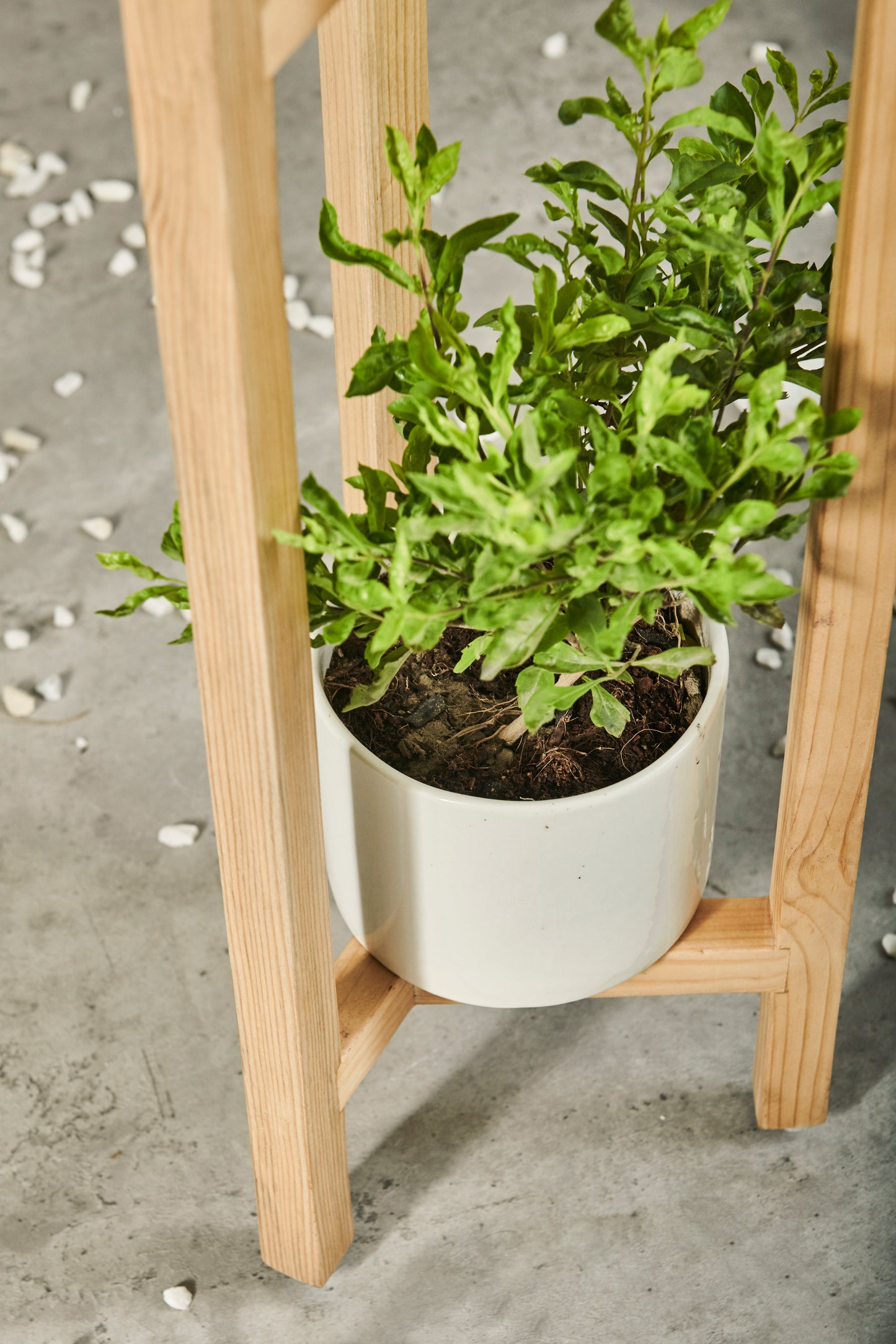 A Tiny Mistake Three Legged Star Planter, Two Tier (One Piece) (Natural Finish)