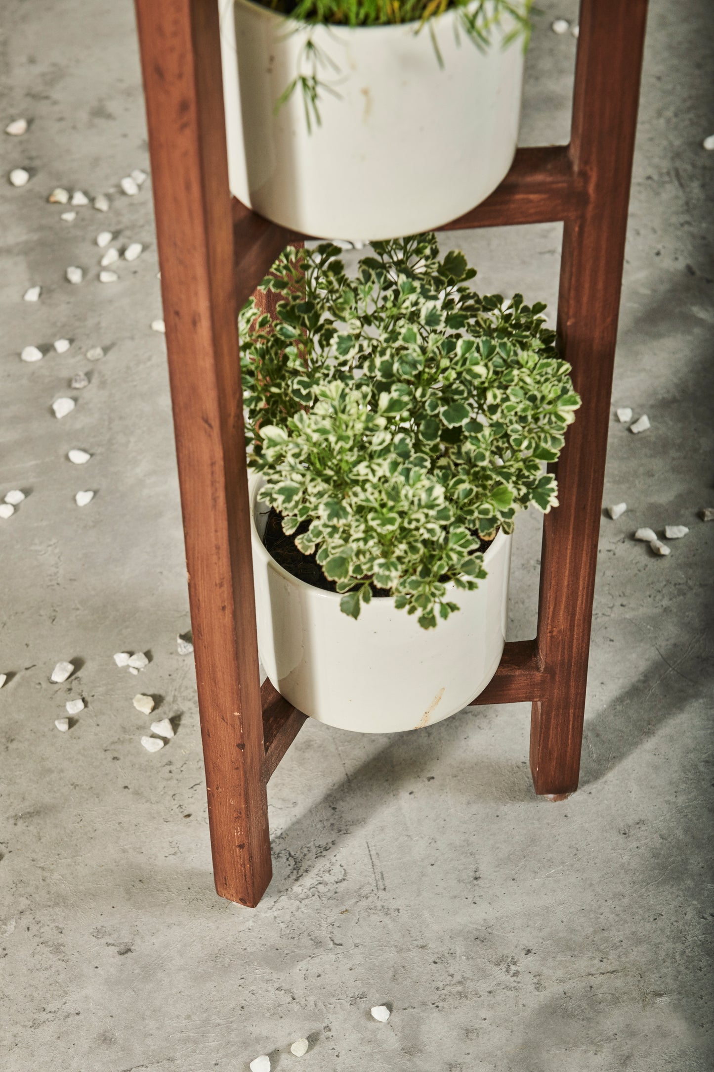 A Tiny Mistake Three Legged Star Planter, Three Tier (One Piece) (Dark Finish)