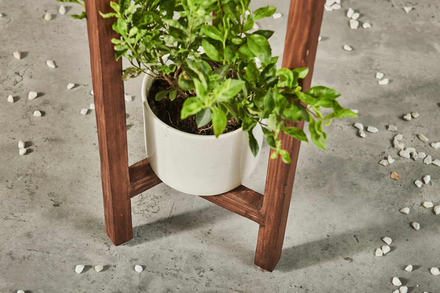 A Tiny Mistake Three Legged Star Planter, Two Tier (One Piece) (Dark Finish)