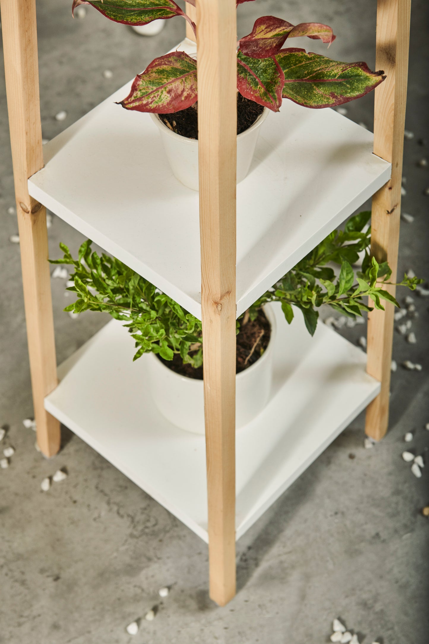 A Tiny Mistake Square Four Legged Tapering Three Tier Decorative Stand (Three Tiers) (White Base with Light Legs)