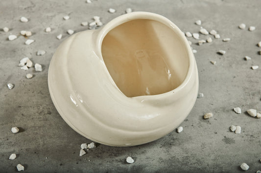 A Tiny Mistake Sea Shell Ceramic Planter (One Piece)