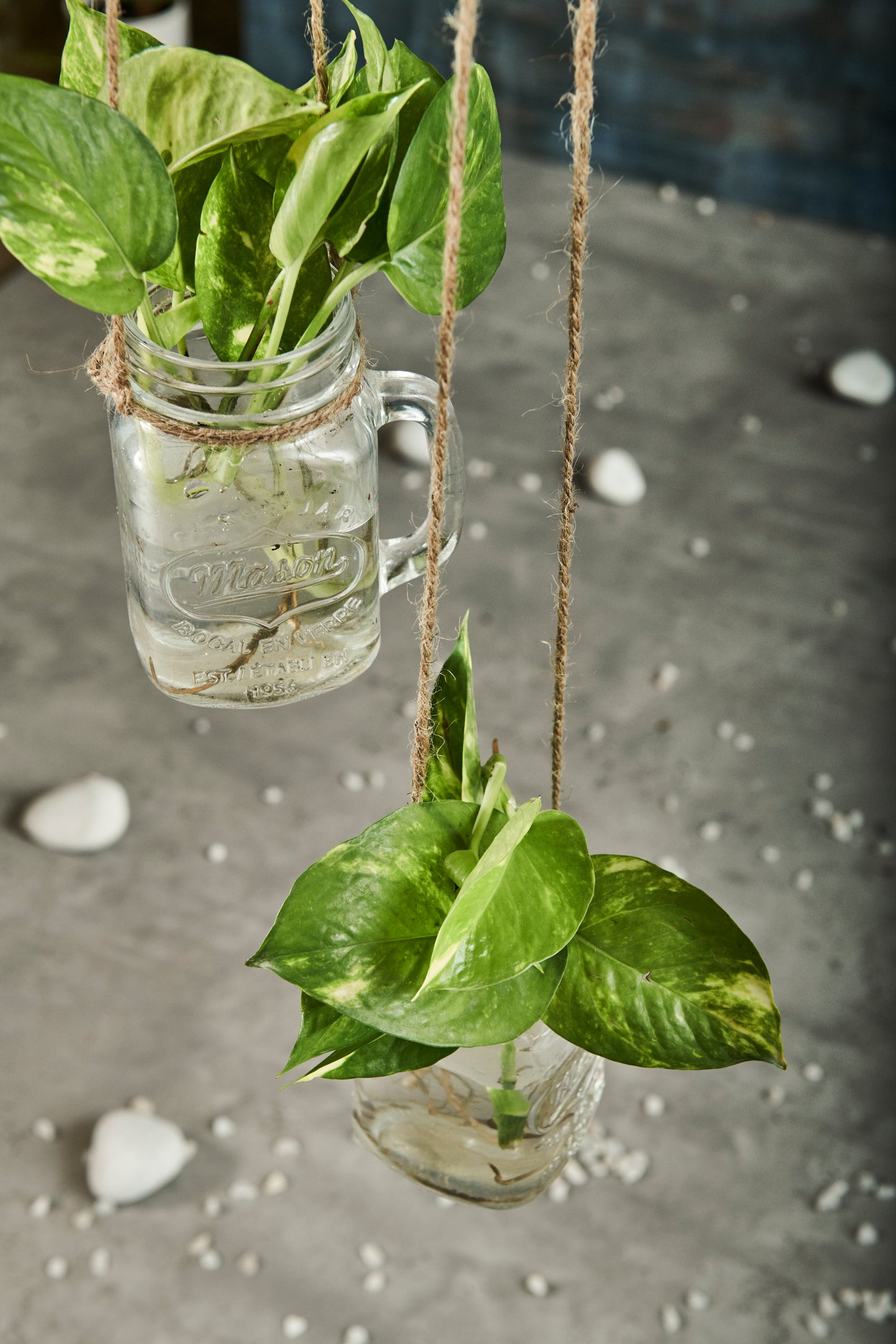 A Tiny Mistake Hanging Rectangle Glass Mason Jars with Jute Rope (Set of Two)