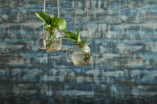A Tiny Mistake Hanging Pot Belly Glass Mason Jars with Jute Rope (Set of Two)