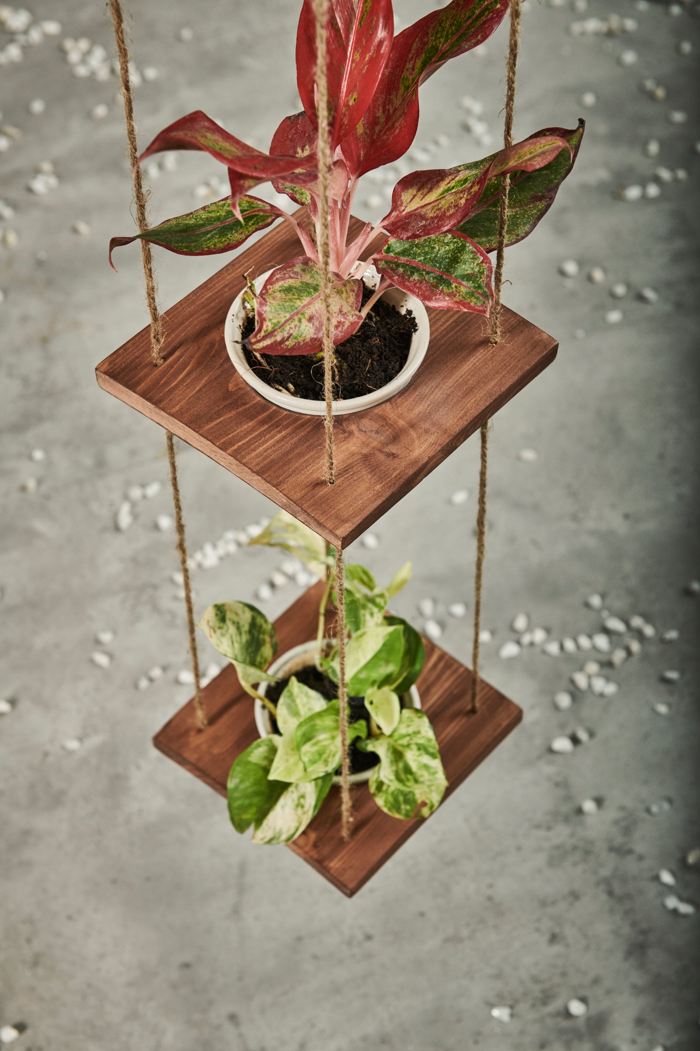 A Tiny Mistake Hanging Pinewood and Ceramic Planter Vertical, Indoor Planter for Home Decor, Wooden Planter with Three Pots (Dark)