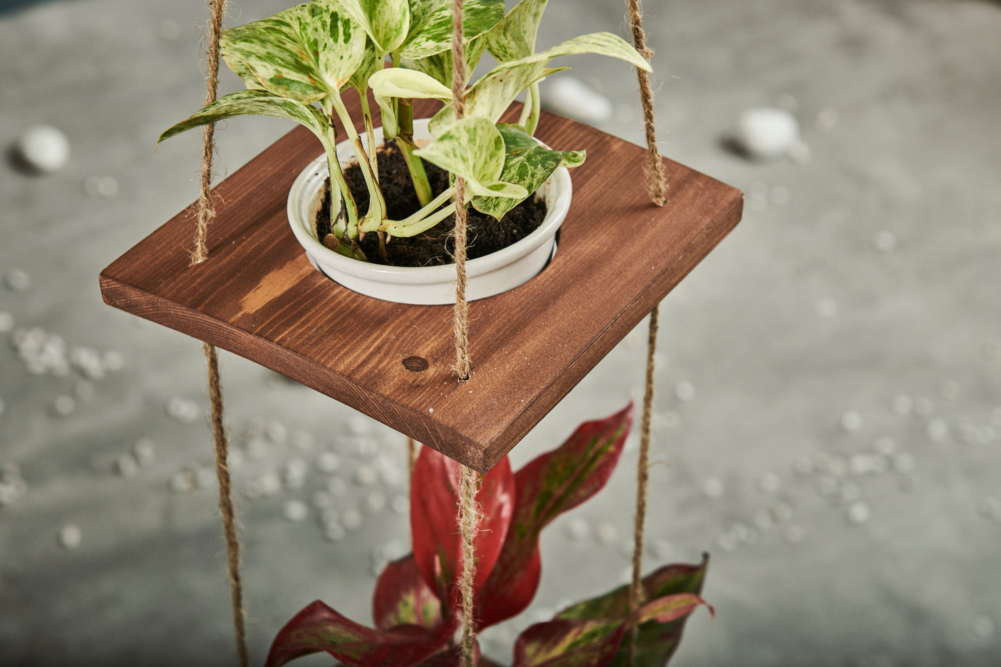 A Tiny Mistake Hanging Pinewood and Ceramic Planter Vertical, Indoor Planter for Home Decor, Wooden Planter with Three Pots (Dark)