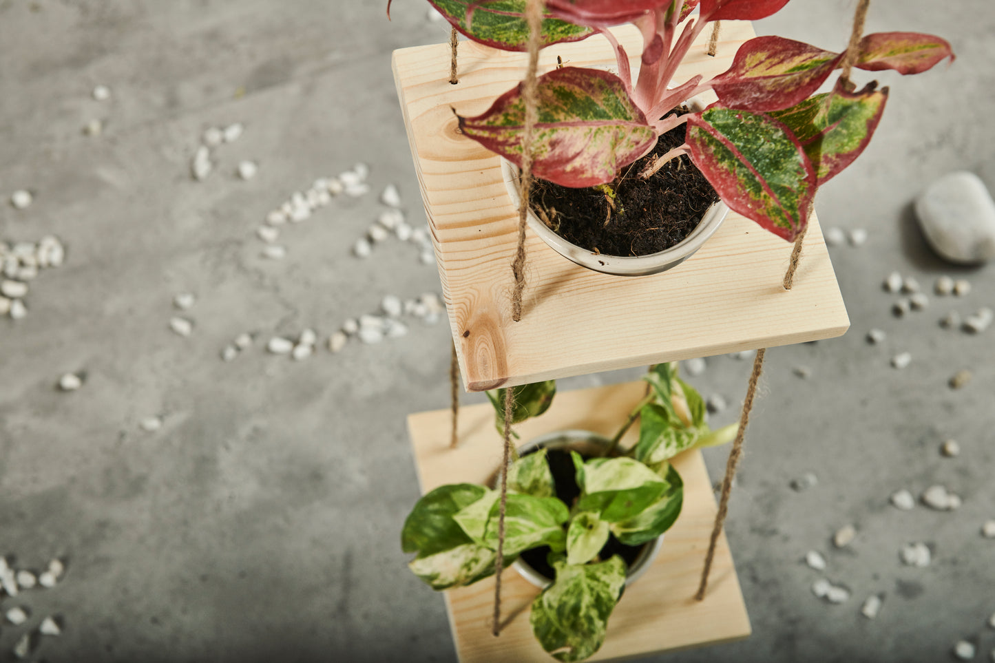 A Tiny Mistake Hanging Pinewood and Ceramic Planter Vertical, Indoor Planter for Home Decor, Wooden Planter with Three Pots (Natural)
