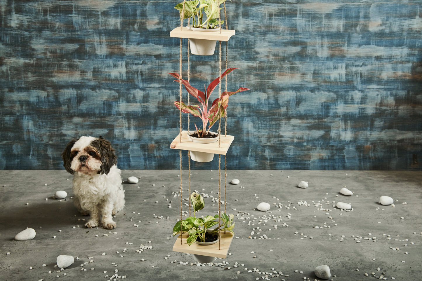 A Tiny Mistake Hanging Pinewood and Ceramic Planter Vertical, Indoor Planter for Home Decor, Wooden Planter with Three Pots (Natural)