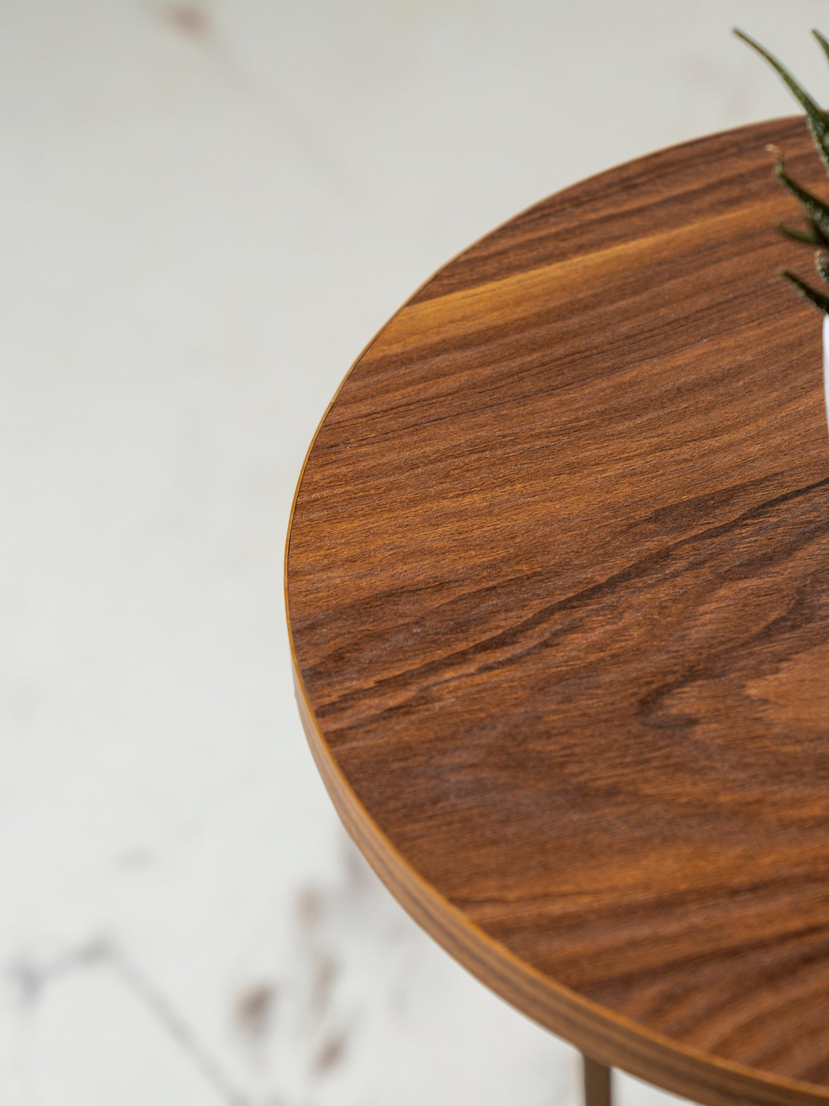 Teak Hues (Antique Gold Legs) Round Oblique Side Tables, Wooden Tables, Living Room Decor by A Tiny Mistake