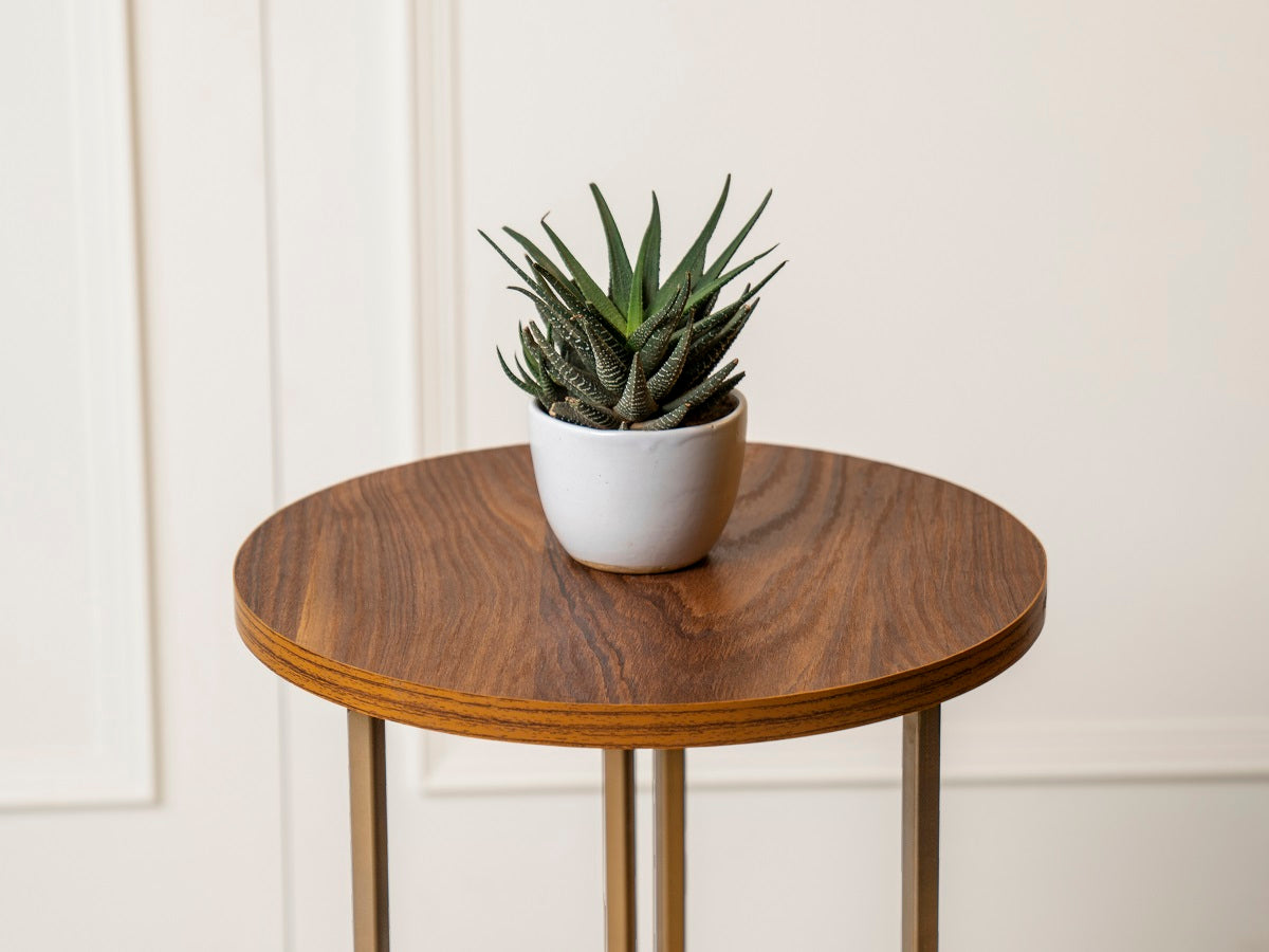 Teak Hues (Antique Gold Legs) Round Oblique Side Tables, Wooden Tables, Living Room Decor by A Tiny Mistake