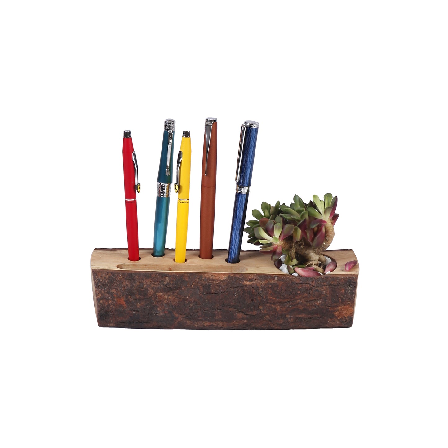 A Tiny Mistake Desk Wooden Log 3 in 1 Planter, Indoor Planter for Home Decor, Perfect for Work from Home Desk