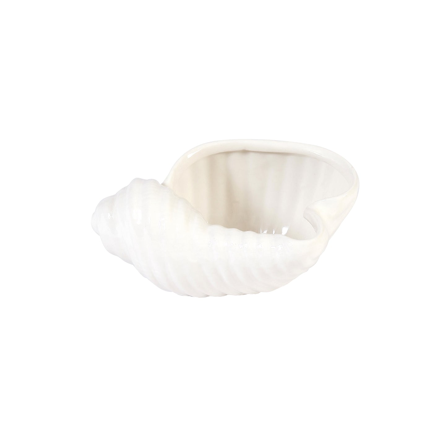 A Tiny Mistake Shankh Ceramic Planter (One Piece)