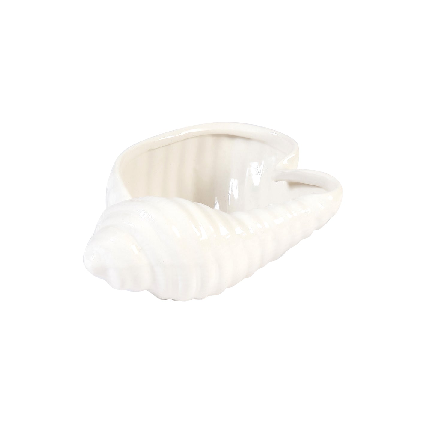 A Tiny Mistake Shankh Ceramic Planter (One Piece)