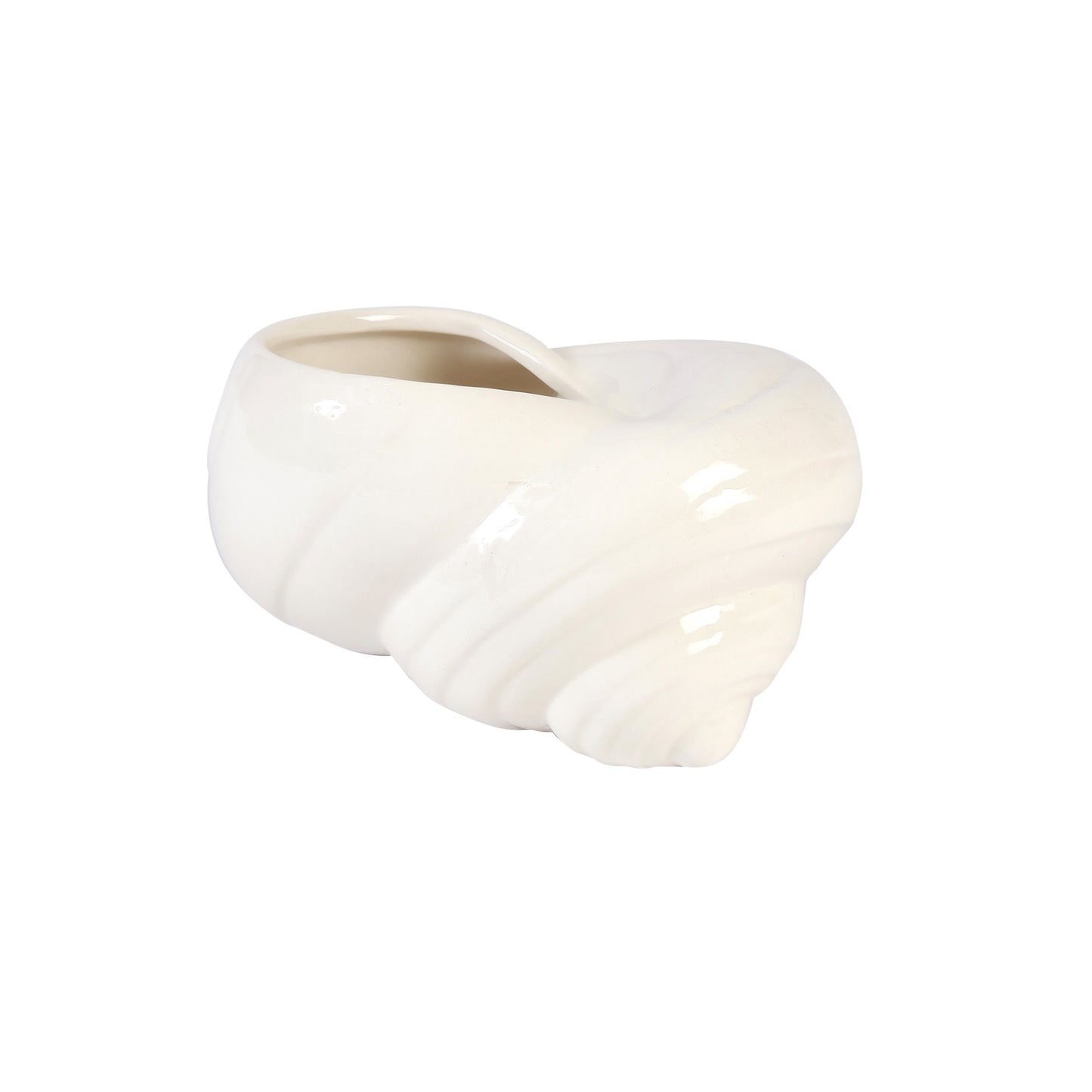 A Tiny Mistake Sea Shell Ceramic Planter (One Piece)