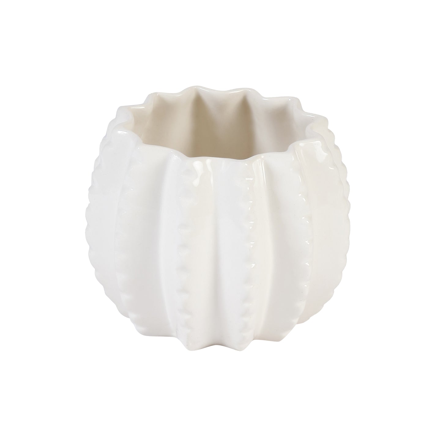 A Tiny Mistake Succulent Shape Round Ceramic Planter (One Piece)