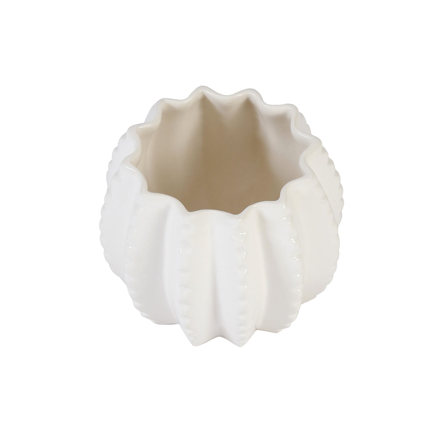 A Tiny Mistake Succulent Shape Round Ceramic Planter (One Piece)