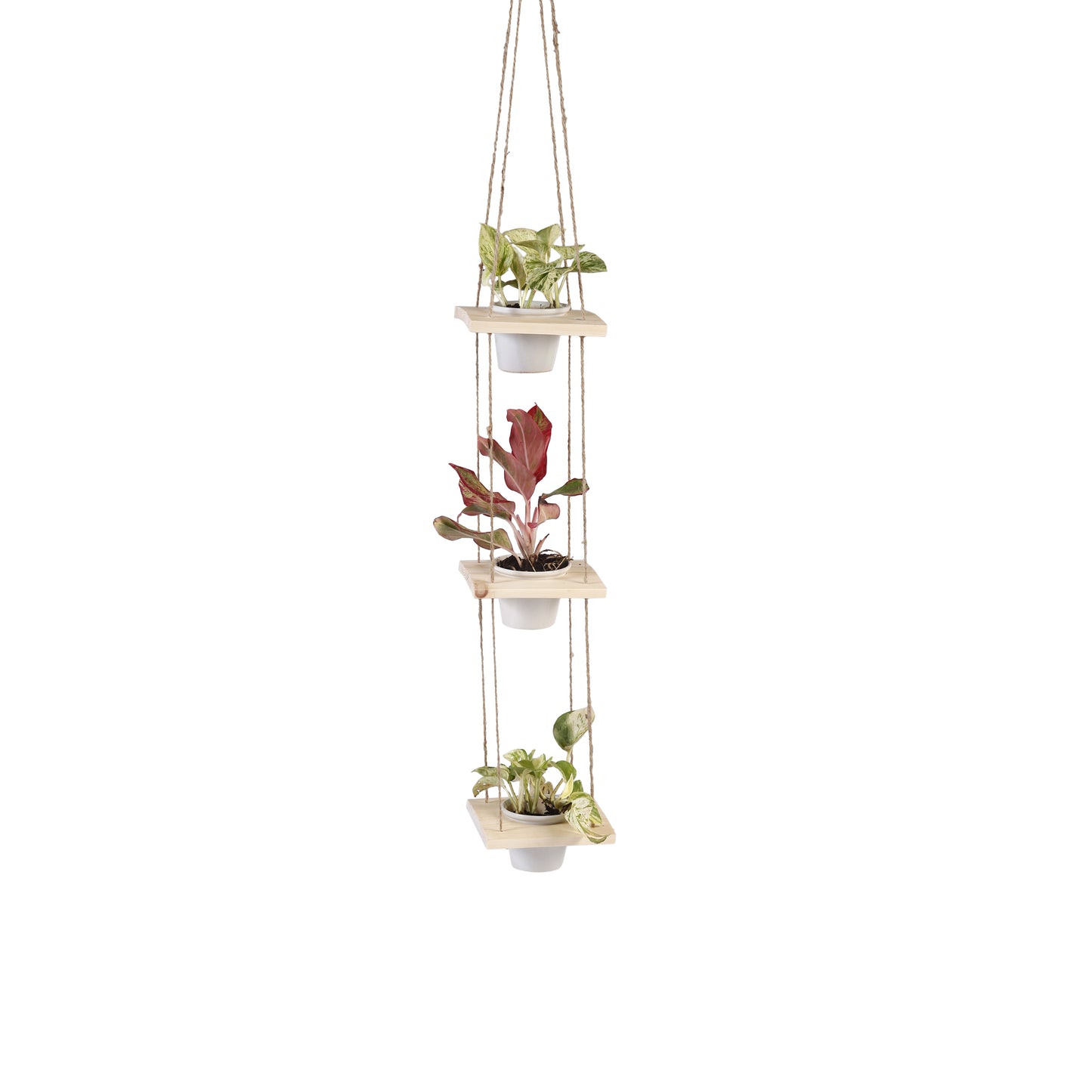 A Tiny Mistake Hanging Pinewood and Ceramic Planter Vertical, Indoor Planter for Home Decor, Wooden Planter with Three Pots (Natural)