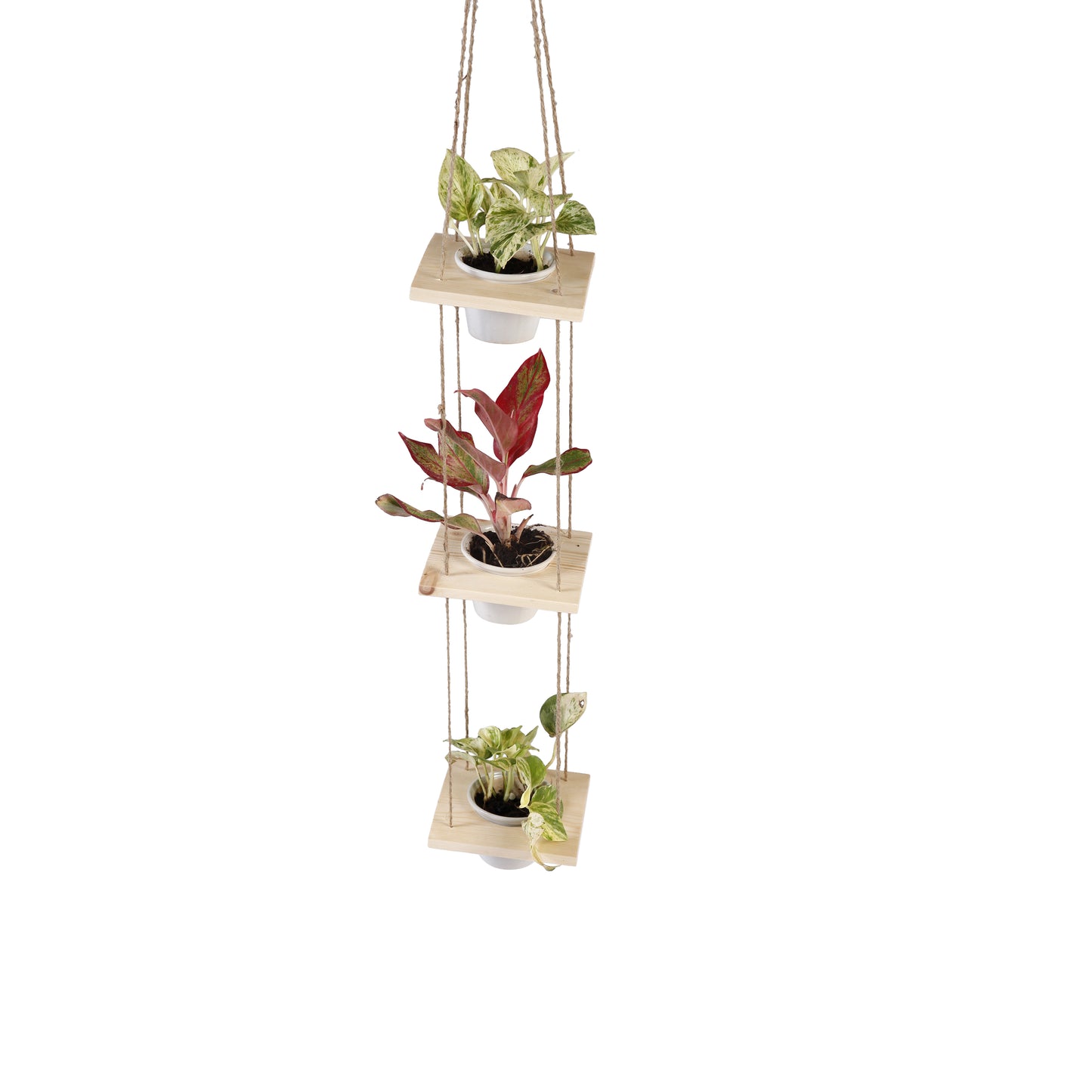 A Tiny Mistake Hanging Pinewood and Ceramic Planter Vertical, Indoor Planter for Home Decor, Wooden Planter with Three Pots (Natural)
