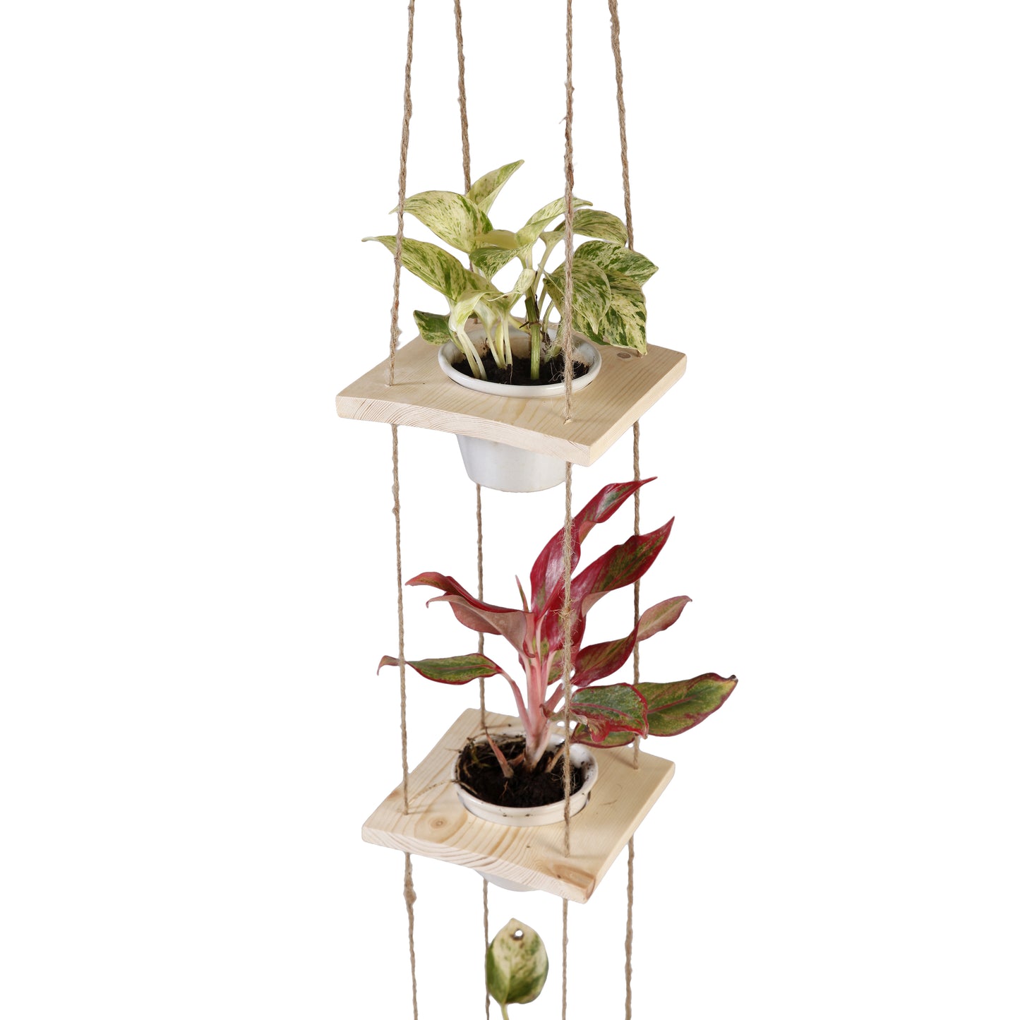 A Tiny Mistake Hanging Pinewood and Ceramic Planter Vertical, Indoor Planter for Home Decor, Wooden Planter with Three Pots (Natural)