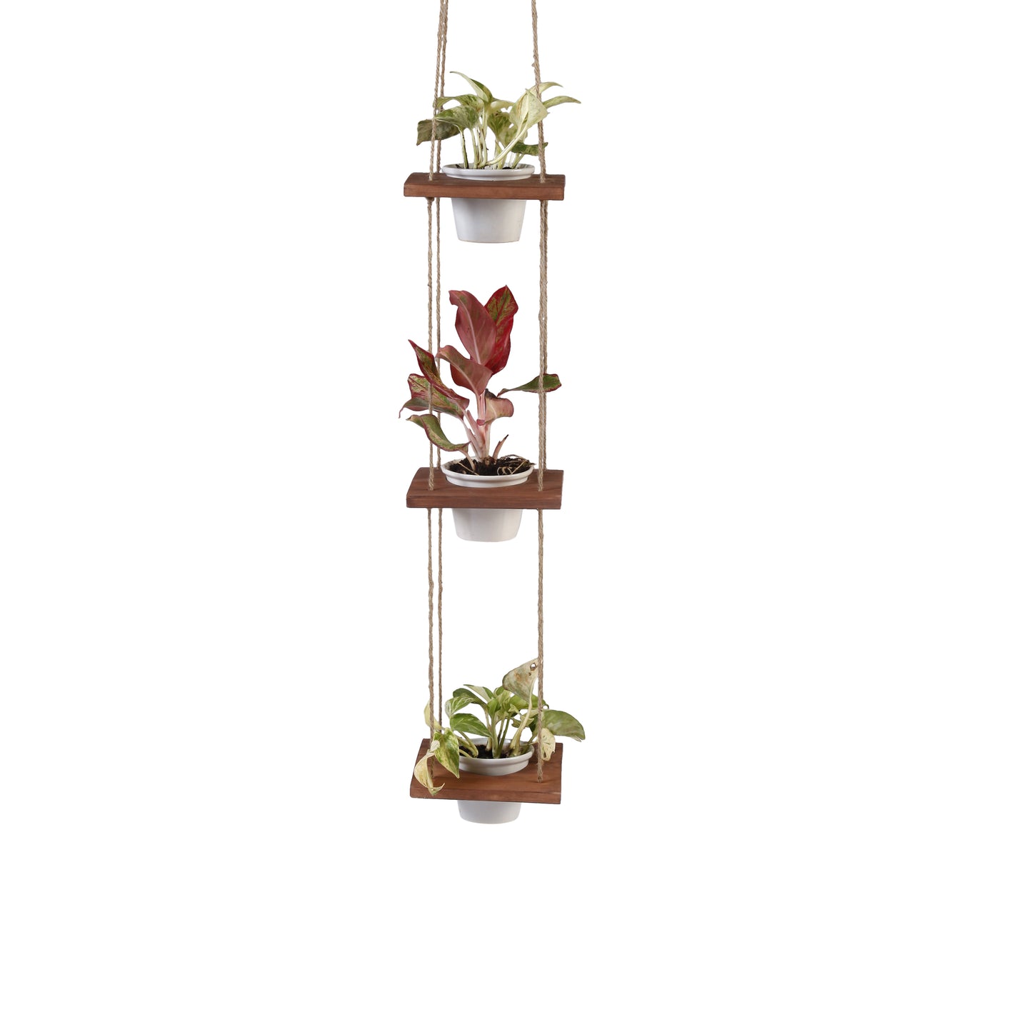 A Tiny Mistake Hanging Pinewood and Ceramic Planter Vertical, Indoor Planter for Home Decor, Wooden Planter with Three Pots (Dark)