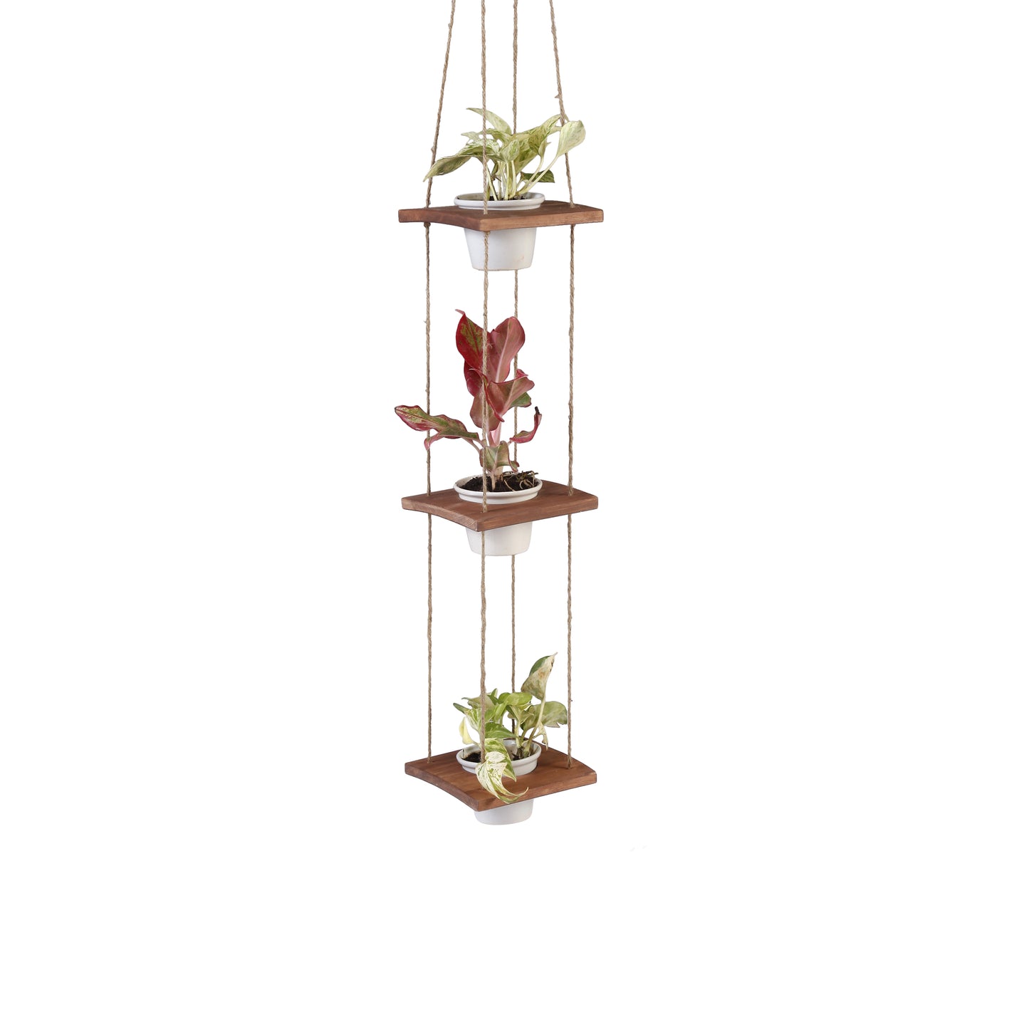 A Tiny Mistake Hanging Pinewood and Ceramic Planter Vertical, Indoor Planter for Home Decor, Wooden Planter with Three Pots (Dark)