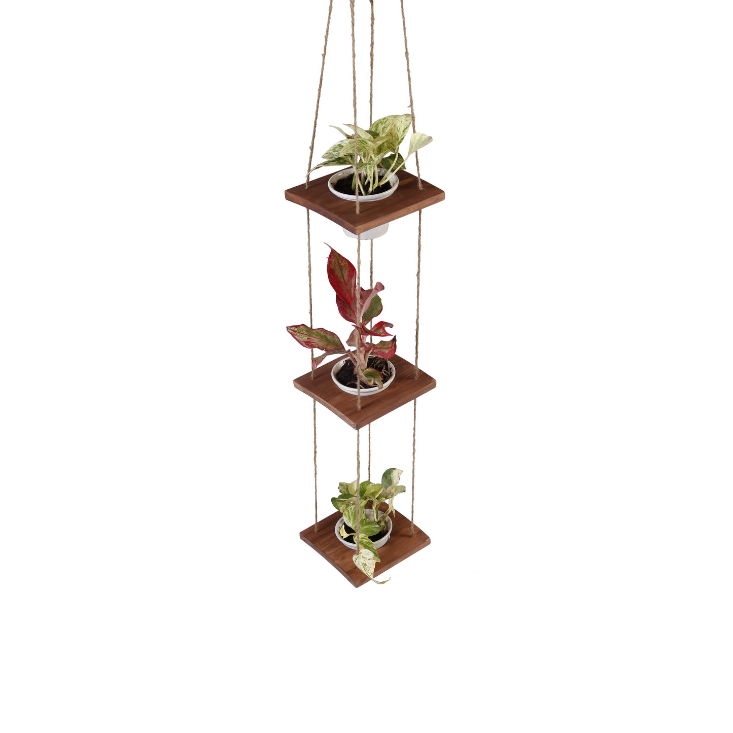 A Tiny Mistake Hanging Pinewood and Ceramic Planter Vertical, Indoor Planter for Home Decor, Wooden Planter with Three Pots (Dark)