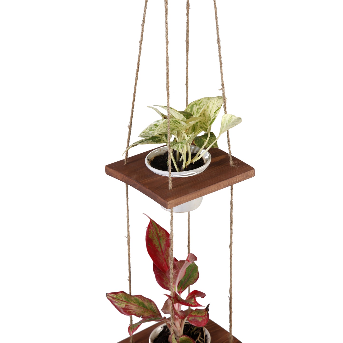 A Tiny Mistake Hanging Pinewood and Ceramic Planter Vertical, Indoor Planter for Home Decor, Wooden Planter with Three Pots (Dark)