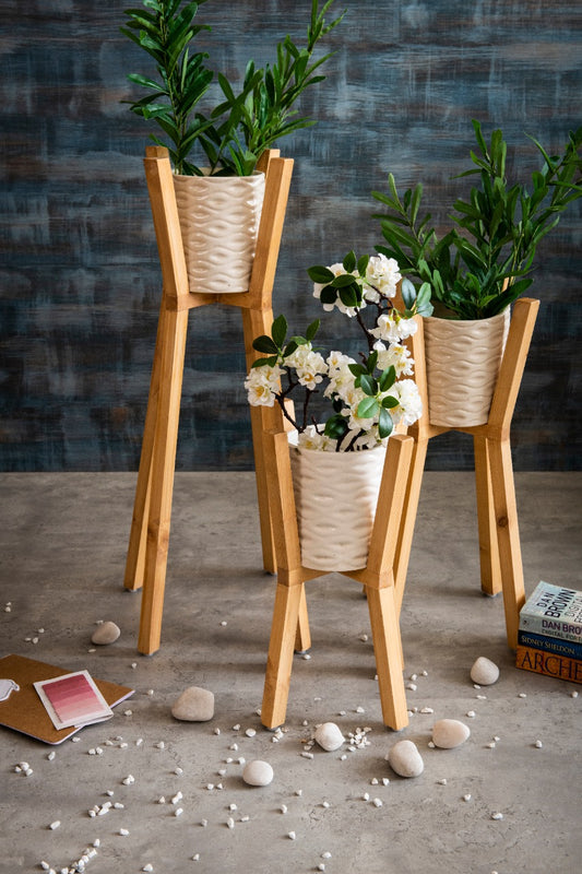 Three Wooden Planter Stands with Ceramic Pots