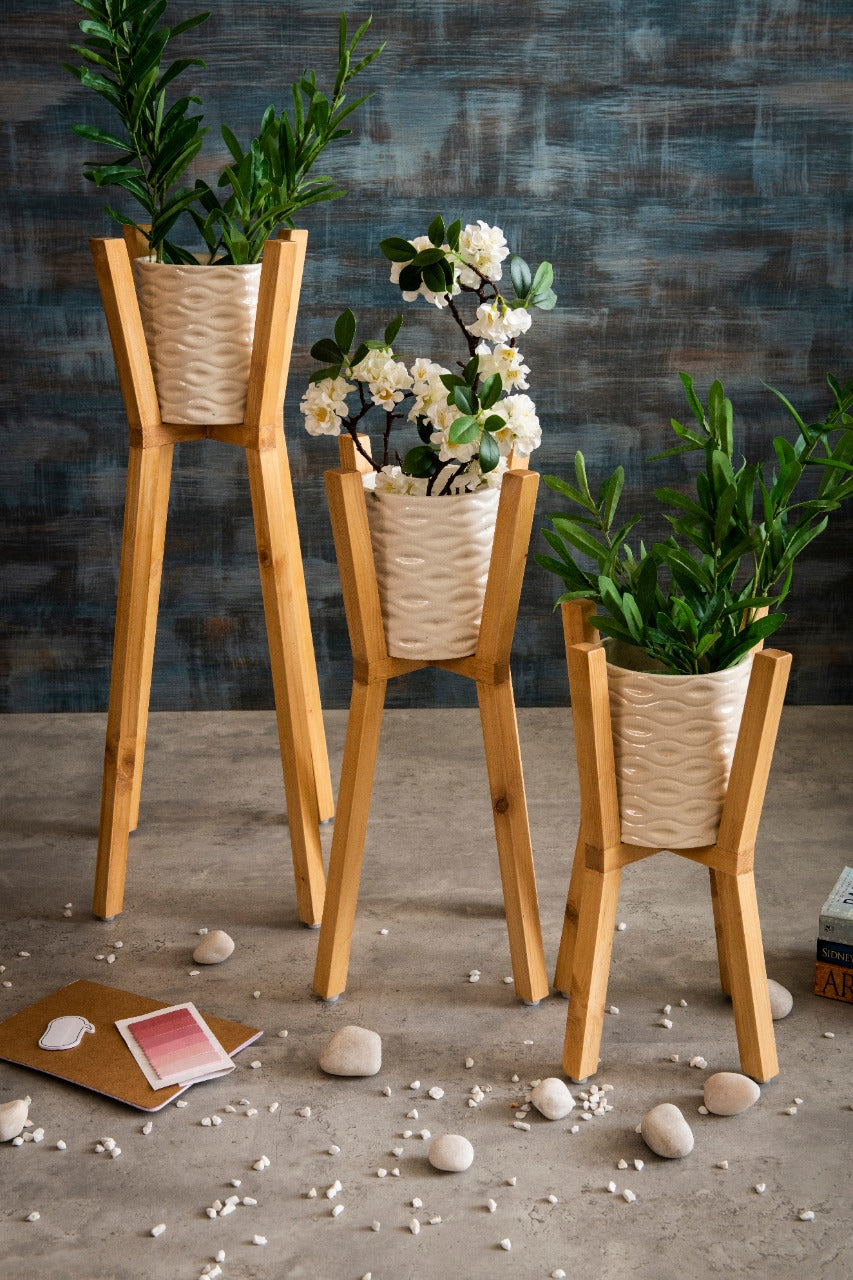 Three Wooden Planter Stands with Ceramic Pots