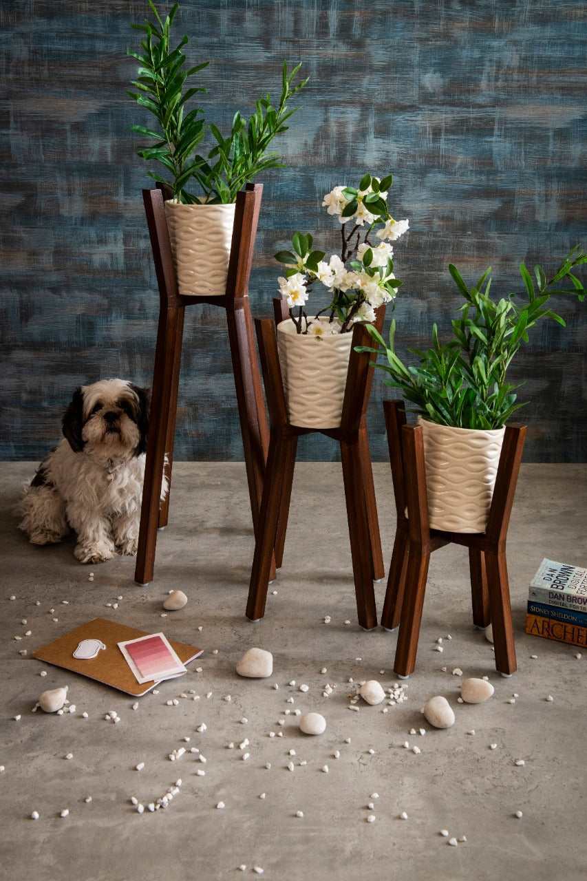 Three Wooden Planter Stands with Ceramic Pots