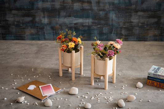 Indoor Ceramic and Wooden Planters