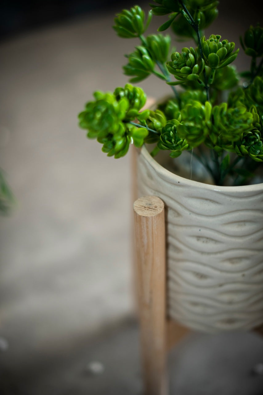 Indoor Planters