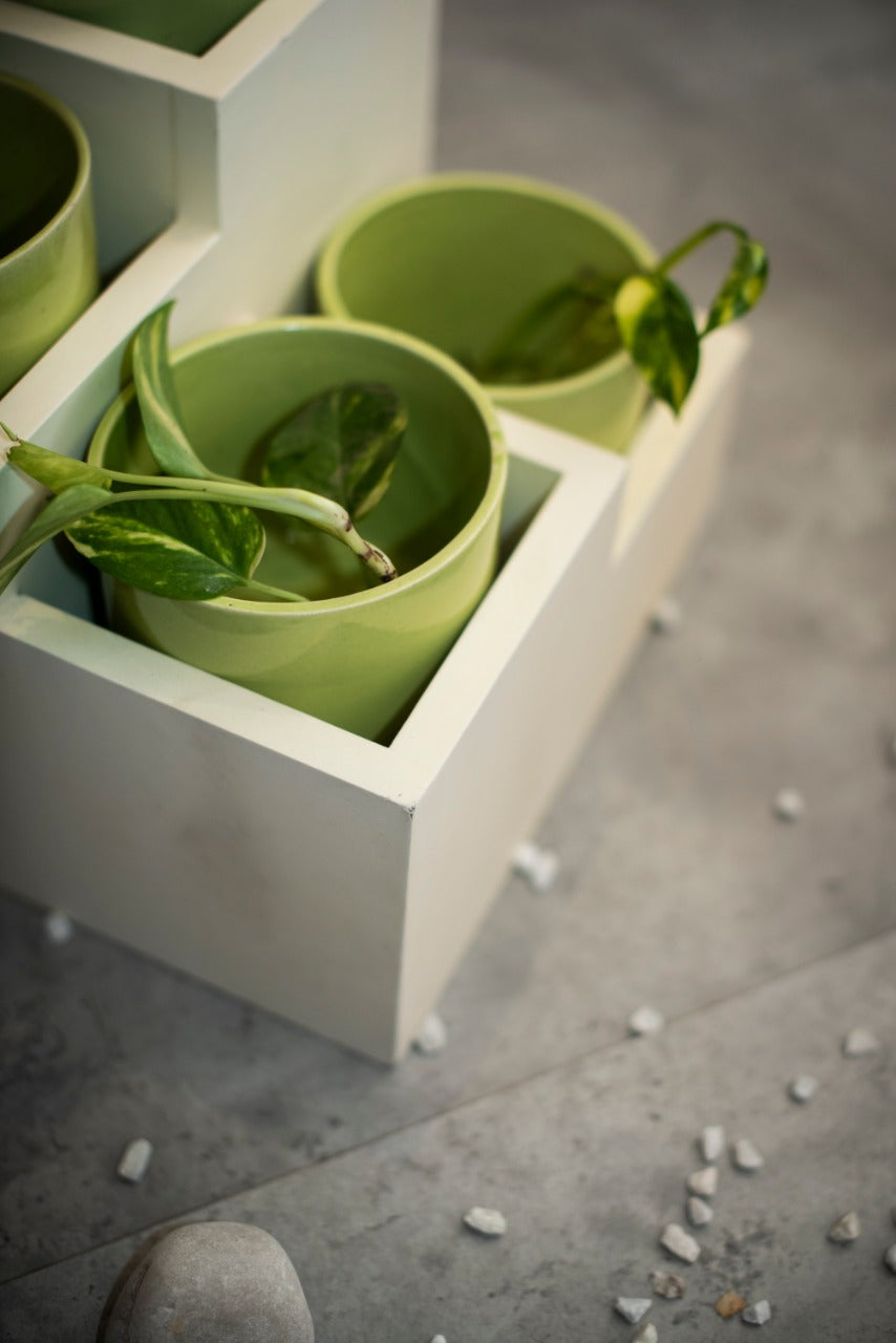 Indoor Planters