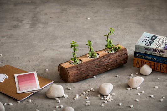 Wooden Log Planter, Desk Planter