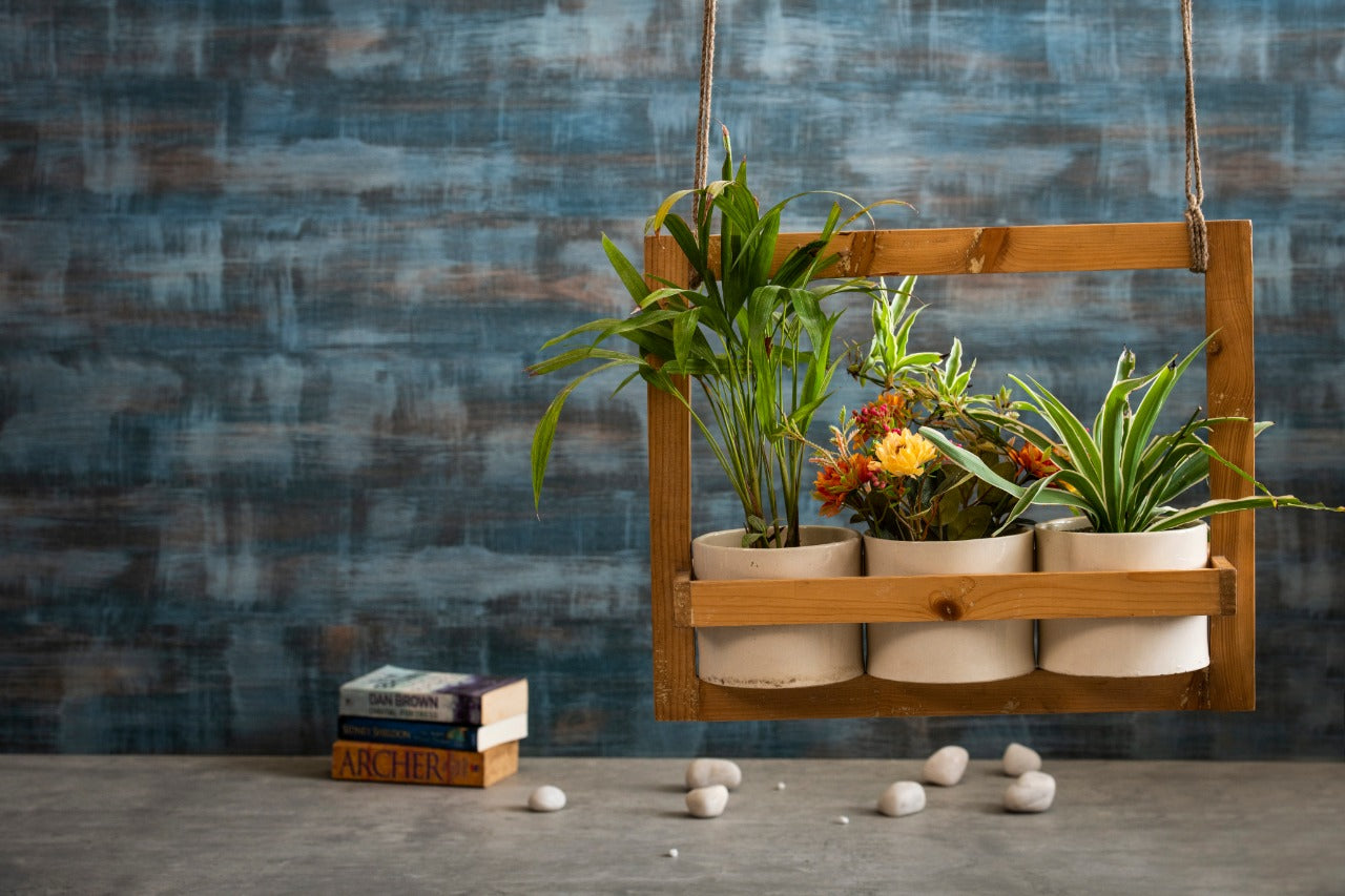 horizontal hanging planter A Tiny Mistake Hanging Pinewood and Ceramic Planter Horizontal, Indoor Planter for Home Decor, Wooden Planter with Three Pots
