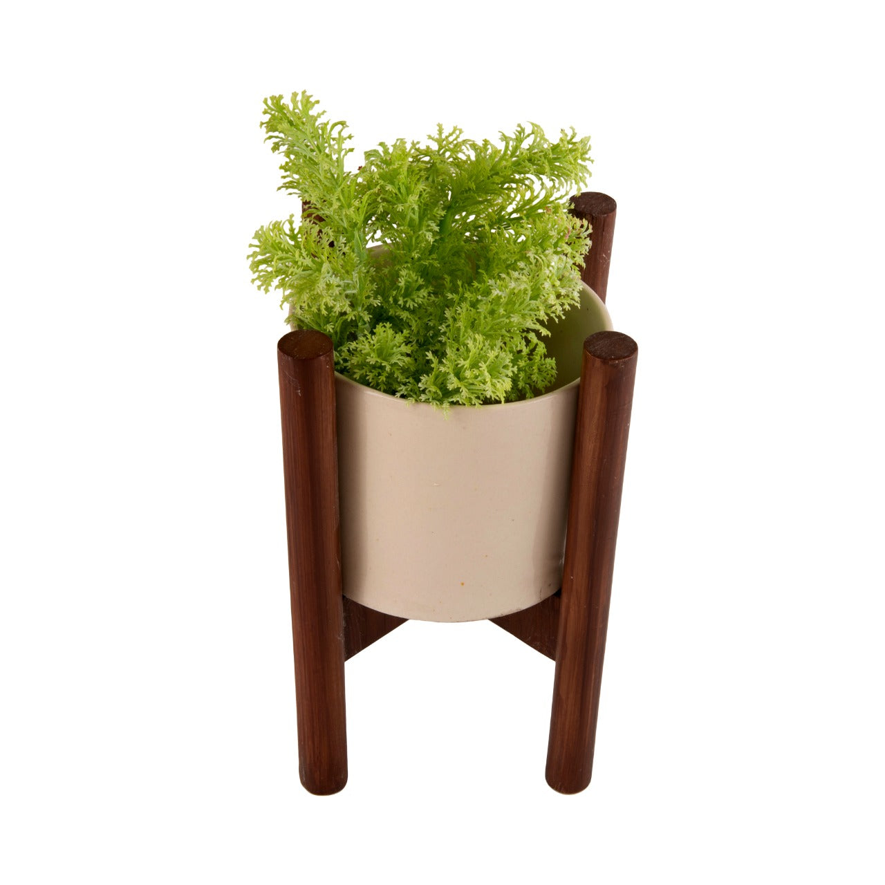 Indoor Ceramic and Wooden Planters