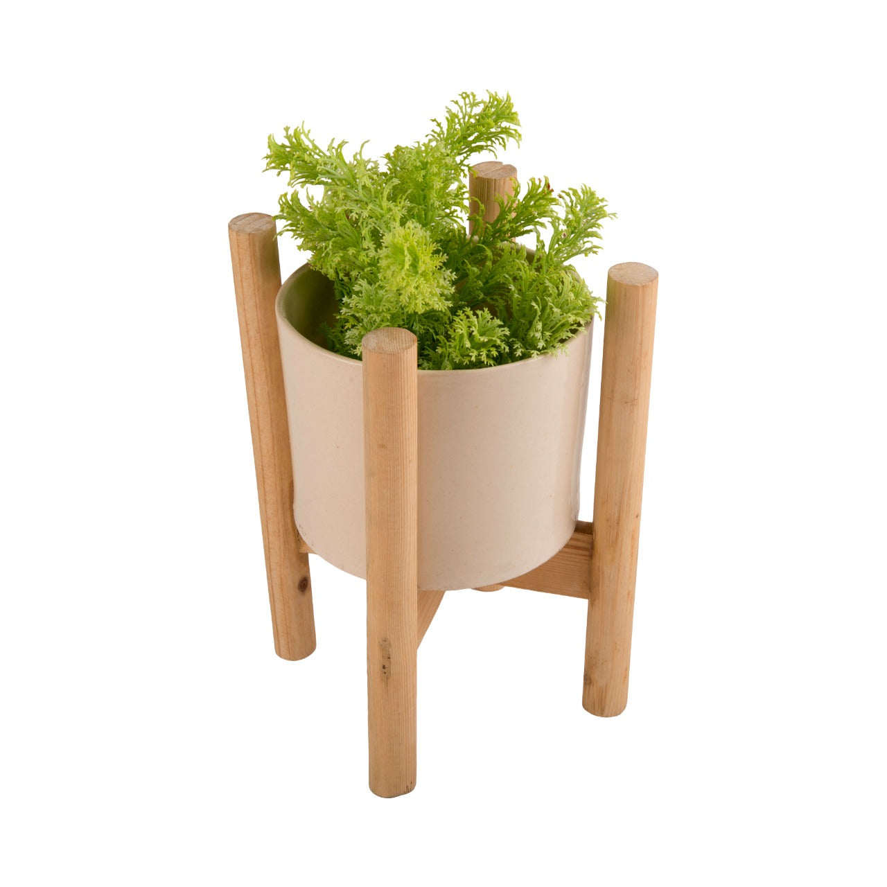 Indoor Ceramic and Wooden Planters