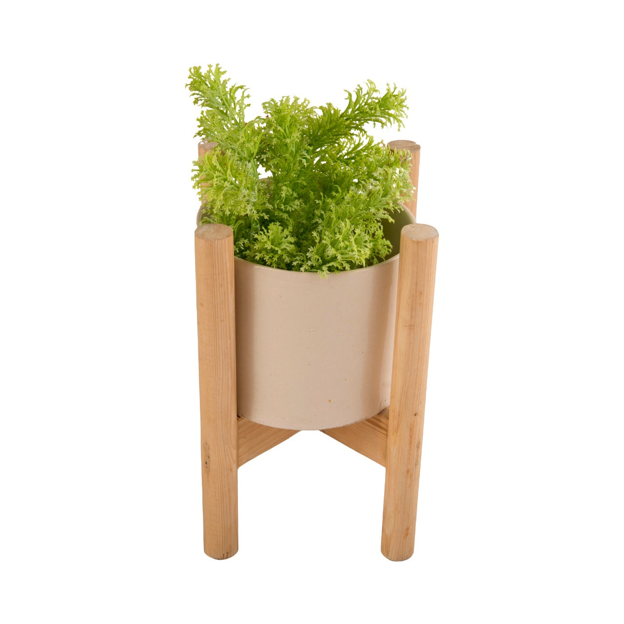 Indoor Ceramic and Wooden Planters