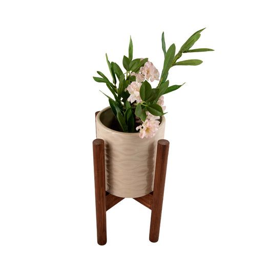 Indoor Ceramic and Wooden Planters