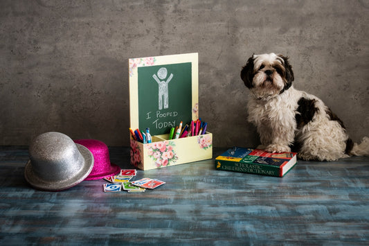 Desk Organisers for Kids