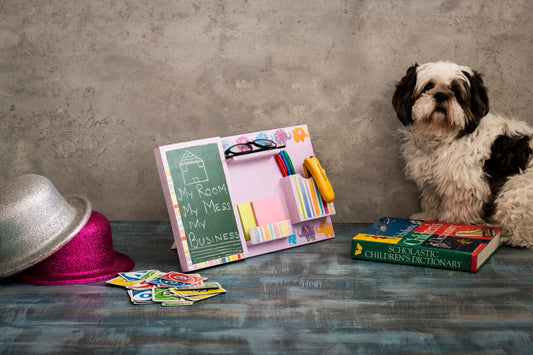 Desk Organisers for Kids