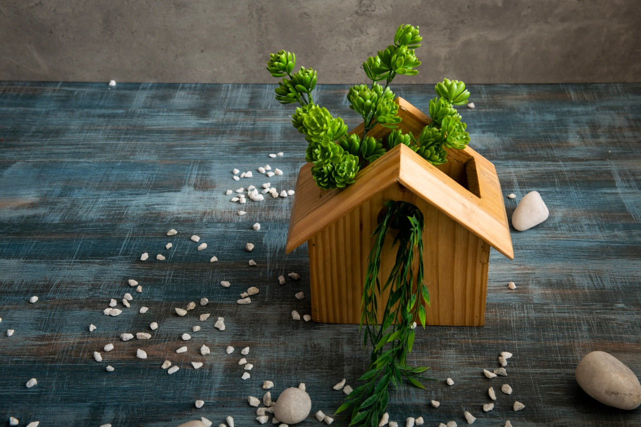 Pine Wood Decorative Bird House