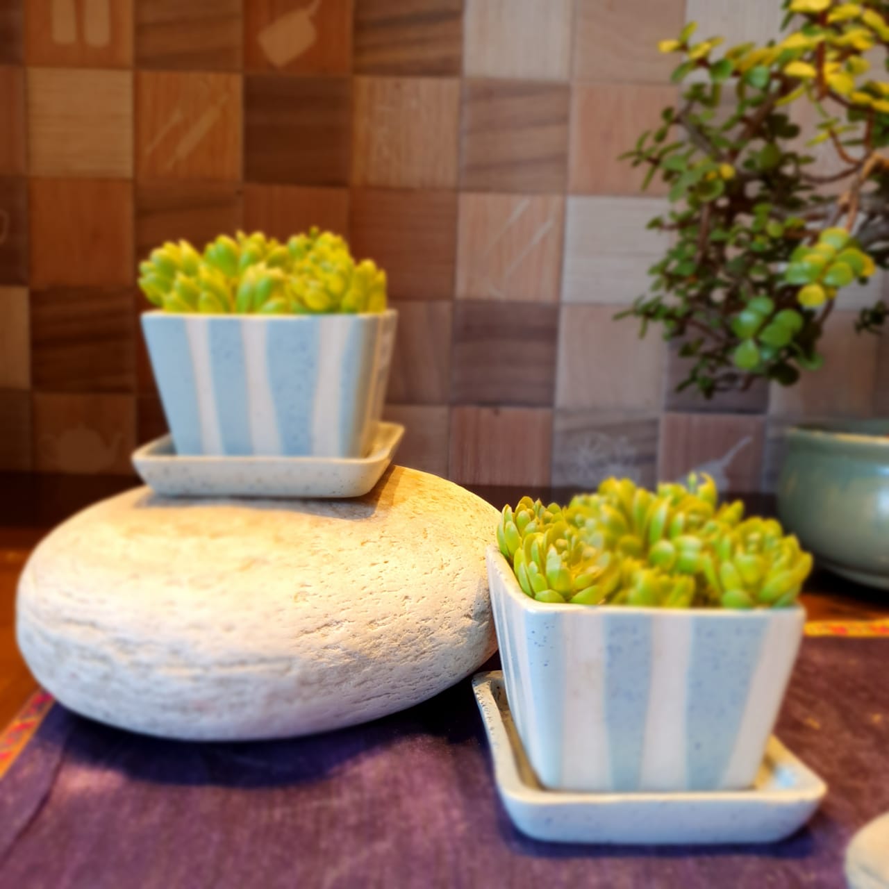 Pastel Coloured and White Coloured Stripes Square Shape Planter with Plate (Set of 2), Outdoor and Indoor Planter, Ceramic Planter for Real Plants (Blue and White)
