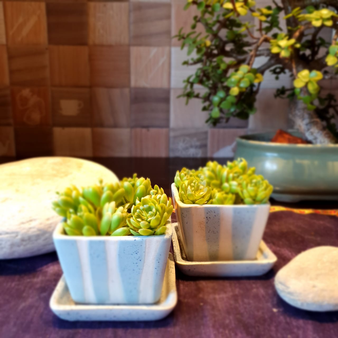 Pastel Coloured and White Coloured Stripes Square Shape Planter with Plate (Set of 2), Outdoor and Indoor Planter, Ceramic Planter for Real Plants (Blue and White)